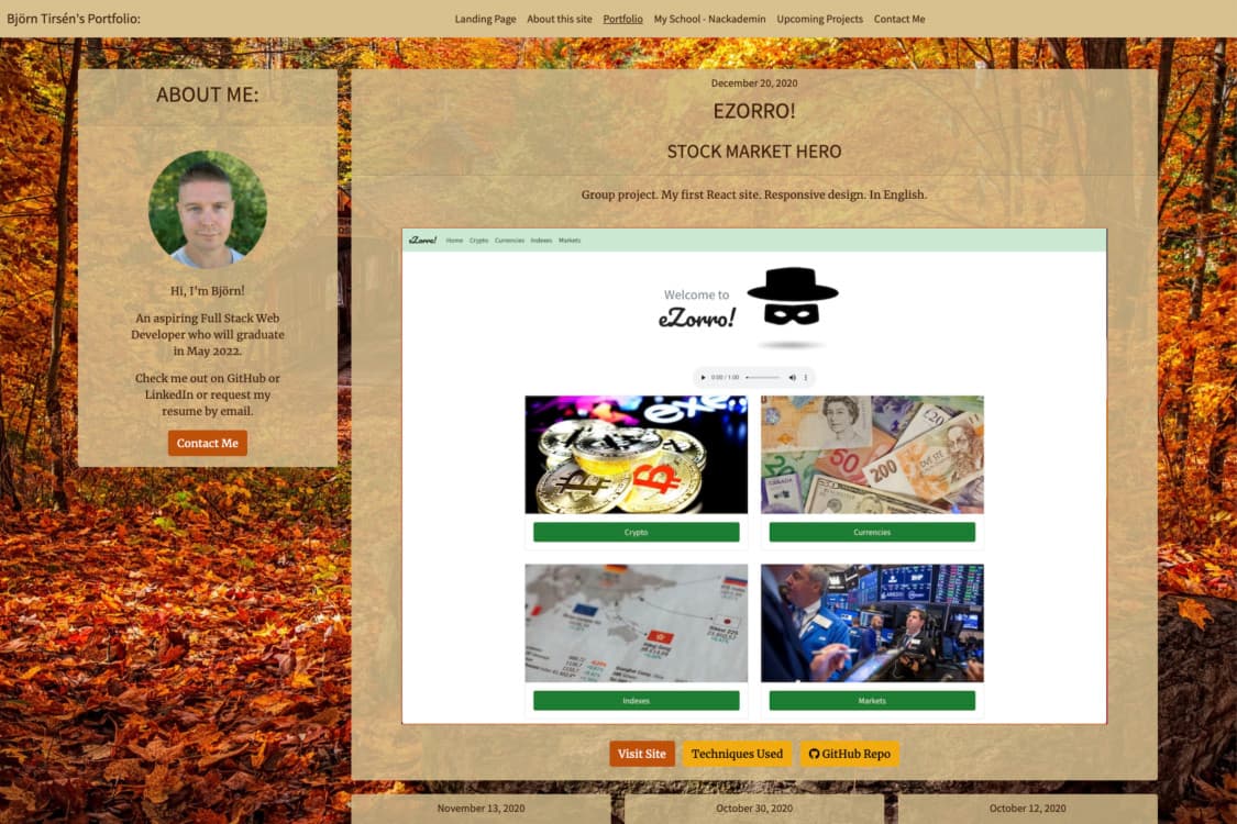 Cover image for project Developing the Developer 1.0