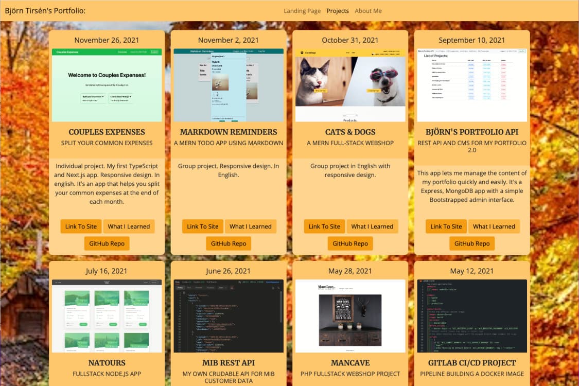 Cover image for project Developing the Developer 2.0